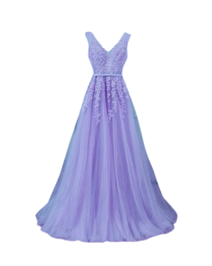 A-line Lace and Tulle Gown