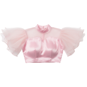 Ethereal Puffed Sleeve Crop Blouse
